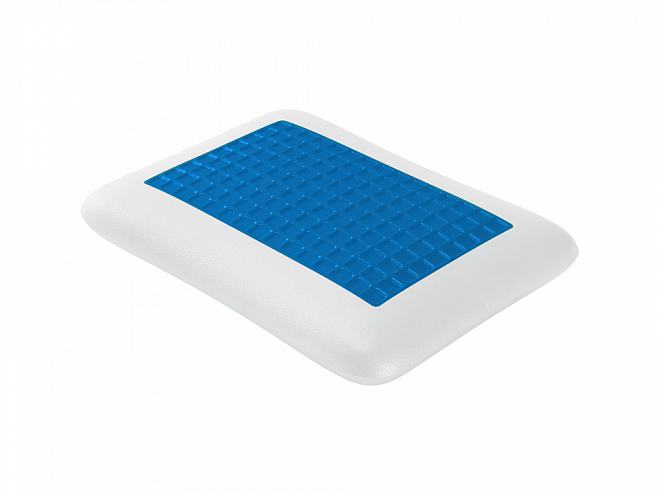 Орматек Junior Champion